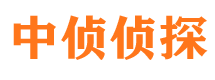 柳河市婚外情调查